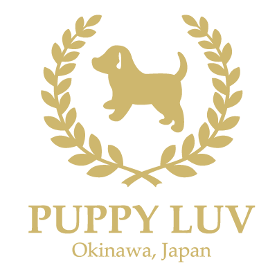 PUPPY LUV
